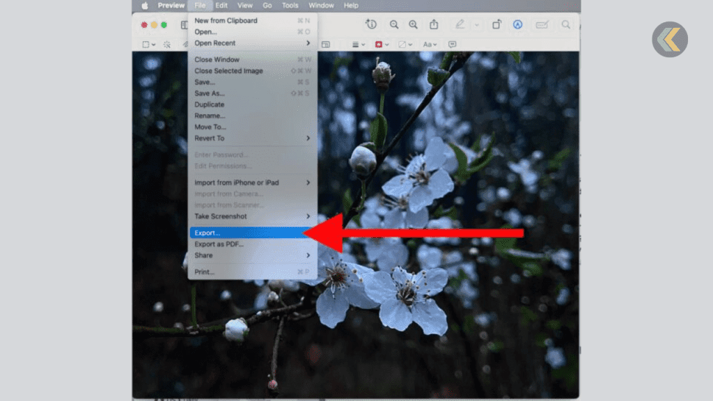 Compress Images Using Preview on Mac